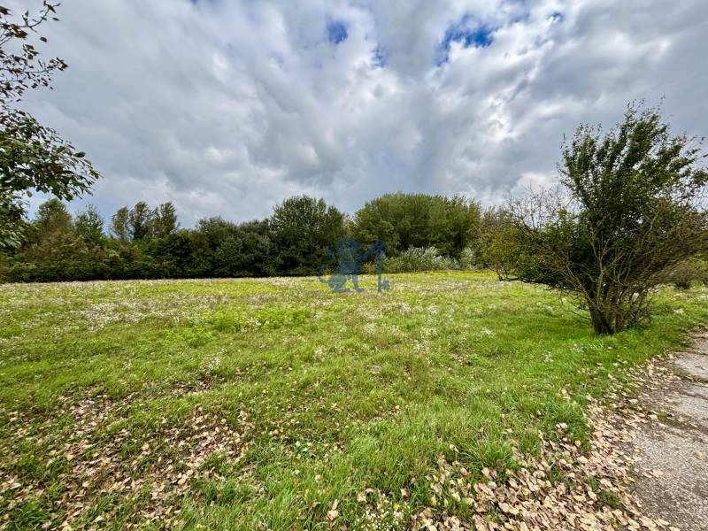 GRAVITAS | Na PREDAJ | rekreačný developerský pozemok | Rusovce - Zelený trávnatý pozemok obklopený stromami v lokalite Bratislava - Rusovce, Pri Pieskovom Hone.