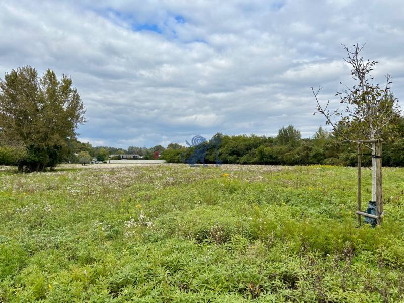 GRAVITAS | Na PREDAJ | rekreačný developerský pozemok | Rusovce - Zeleň na developerských pozemkoch v Bratislave - Rusovciach, ulica Pri Pieskovom Hone.