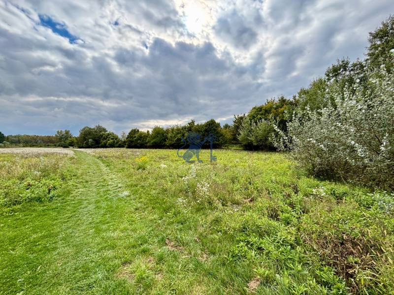 GRAVITAS | Na PREDAJ | rekreačný developerský pozemok | Rusovce - Zeleň na developerských pozemkoch v Bratislave - Rusovciach, Pri Pieskovom Hone, s chodníkom.