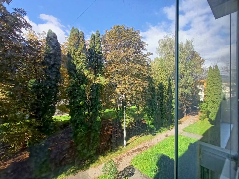 Veľký 2 izbový byt na Severe na predaj - Výhľad na zelené stromy z 2-izbového bytu na Severnej ulici v Martine.