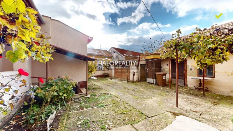 Predaj, rodinný dom Lučenec, centrum - EXKLUZÍVNE HA... - Dvor rodinného domu v Lučenci s viničom a rozmanitou vegetáciou.