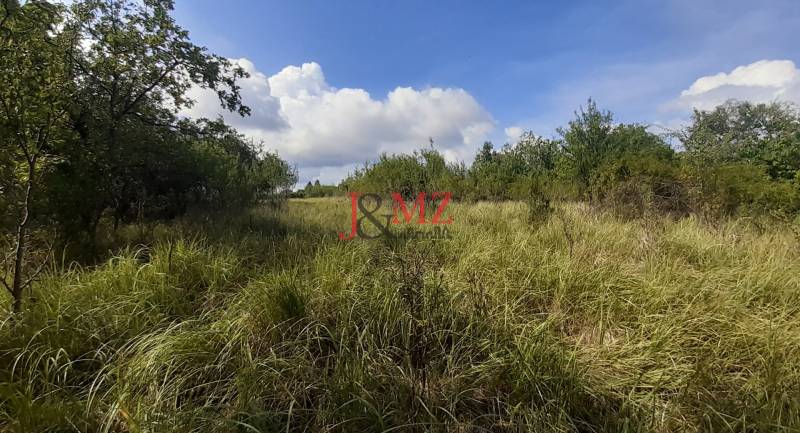 Pozemok 5.200 m2 , šírka 35 m, Horné Jabloňovce (SM - 849)   - Zarastené rekreačné pozemky obklopené stromami v Horných Jabloňovciach, Jabloňovce, pod modrou oblohou.