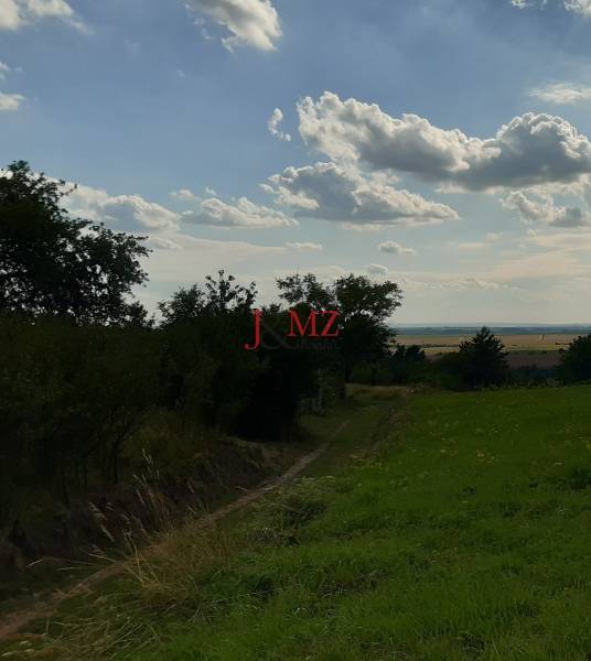 Pozemok 5.200 m2 , šírka 35 m, Horné Jabloňovce (SM - 849)   - Prírodná scenéria na Rekreačných pozemkoch pri Horných Jabloňovciach s oblohou a stromami.