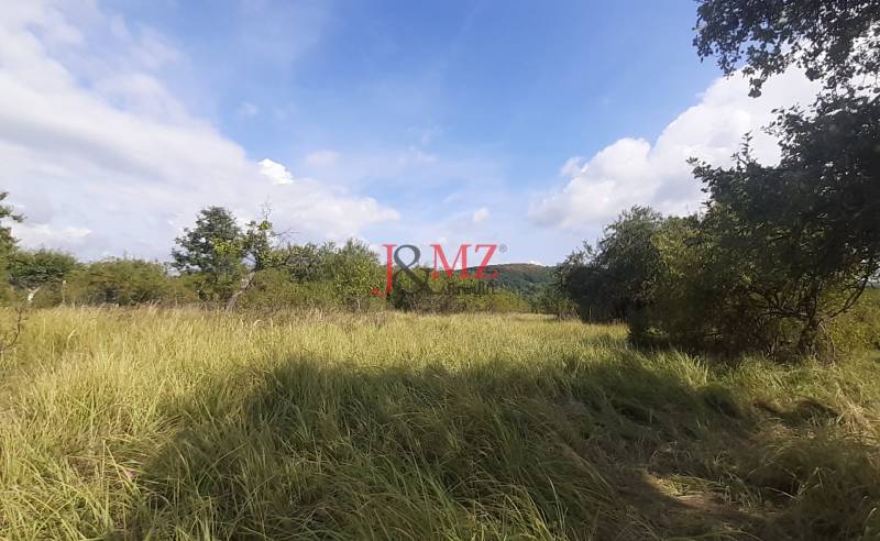 Pozemok 5.200 m2 , šírka 35 m, Horné Jabloňovce (SM - 849)   - Trávnatý pozemok na Rekreačných pozemkoch v Jabloňovciach, Horné Jabloňovce obklopený stromami.