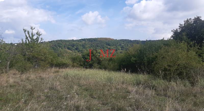 Pozemok 5.200 m2 , šírka 35 m, Horné Jabloňovce (SM - 849)   - Krajina s trávnatým porastom a stromami v Rekreačných pozemkoch, Horných Jabloňovciach, Jabloňovce.