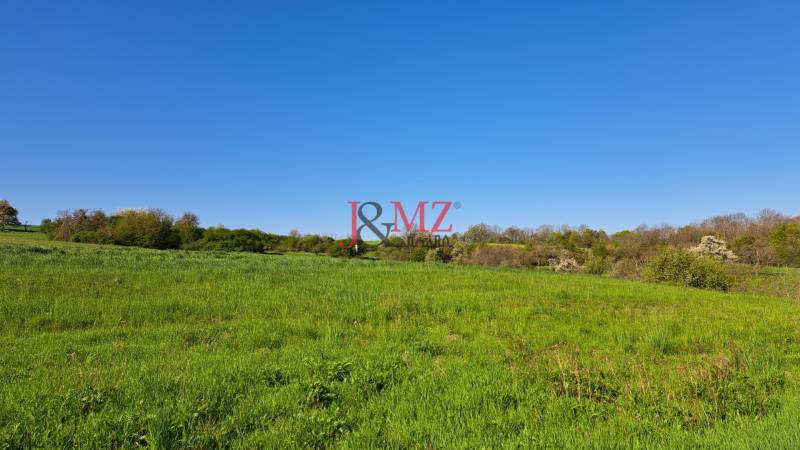 Pozemok 7.000 m2, šírka 55 m, Žemberovce, Cena DOHODOU (SM–850) - Lúka na Dolných Žemberovciach, Pozemky - bývanie, s výhľadom na zeleň a čisté nebo.