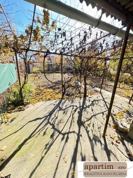 Predáme záhradu s možnosťou výstavby na Strednej ulici v Ružinove - Záhrady na Strednej ulici v Bratislave - Ružinove s popadaným lístím viniča.