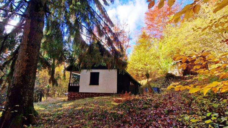 Útulná chata polosamota Tále Nízke Tatry - Chata v jesennom lese na ulici Tále v Bystrú, obklopená farebnými stromami.