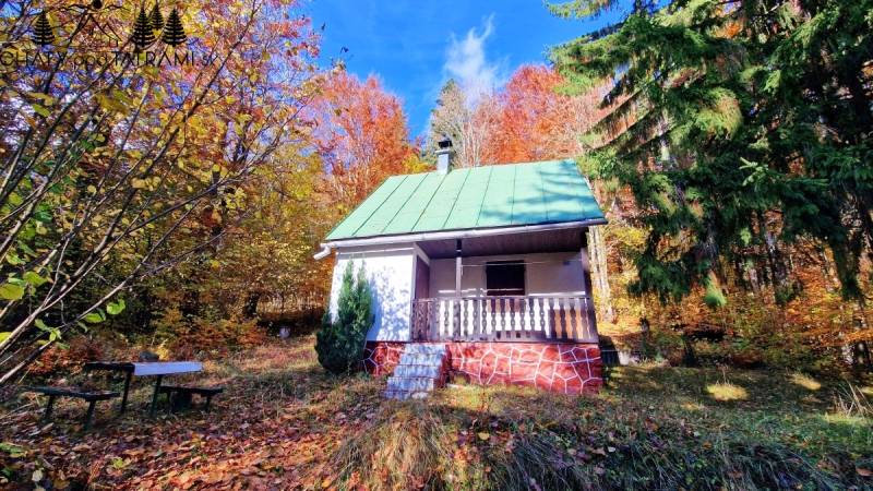 Útulná chata polosamota Tále Nízke Tatry - Chata na Tálach v Bystrej obklopená farebnou jesennou prírodou s lavičkou v popredí.