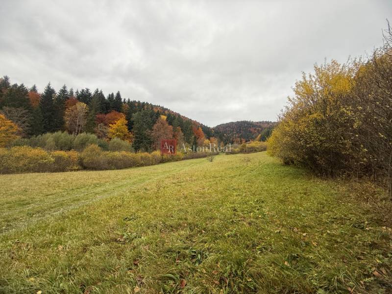 Na predaj rekreačný pozemok Lazy pod Makytou- Čertov 34.442 m2 - Jeseň v Lazy pod Makytou, Čertove na Rekreačných pozemkoch obklopených lesmi a prírodou.