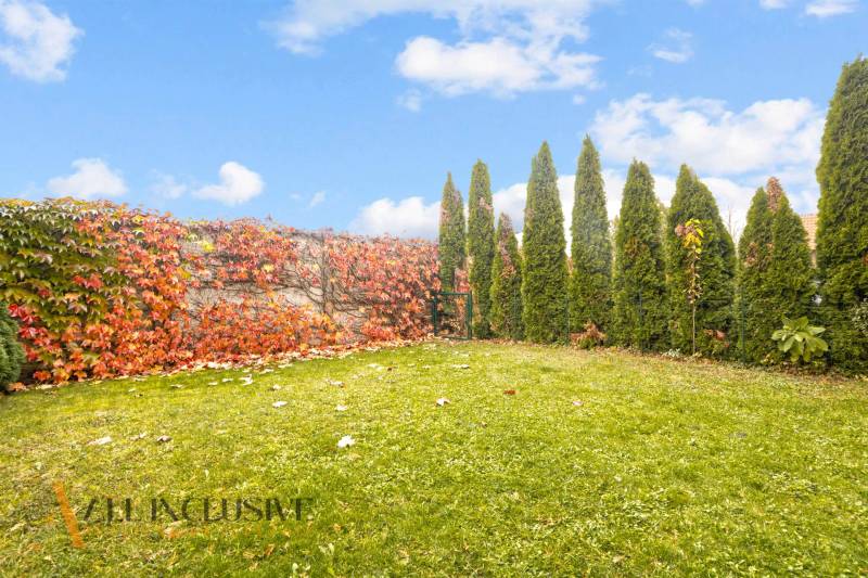 NA PREDAJ 3-IZB. BYT S TERASOU A ZÁHRADKOU, DUN.STREDA - Trávnik obklopený živým plotom a okrasnými stromami v Dunajskej Strede.