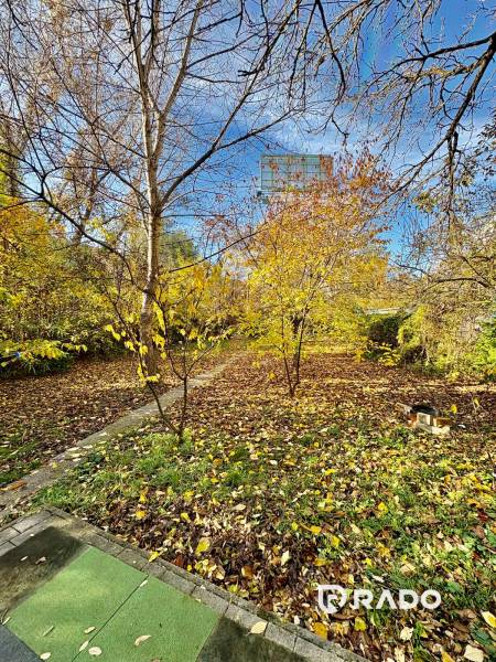 RADO I NA PRENAJOM I ZARIADENY 1-IZBOVY DOM I BA-PRIEVOZ - Záhrada pri rodinnom dome na Hraničnej ulici v Bratislave - Prievoz v jesennom období.