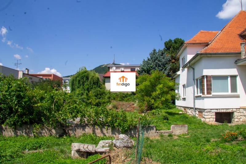 INVESTIČNÁ PRÍLEŽITOSŤ – Na predaj Komplexné centrum v Nitre  - Rodinný dom v Nitre na ulici Pod sokolom, obklopený zeleňou a záhradou.