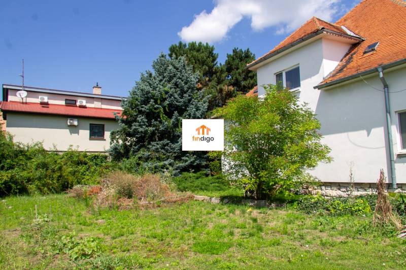 INVESTIČNÁ PRÍLEŽITOSŤ – Na predaj Komplexné centrum v Nitre  - Záhrada rodinného domu na ulici Pod sokolom v meste Nitra s ihličnatým stromom.