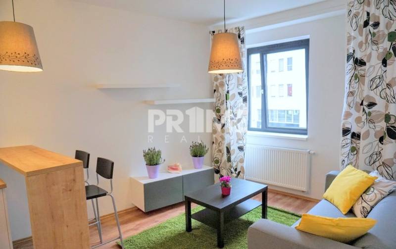 MODERNÝ 2i byt, NOVOSTAVBA, CENTRUM, Suché Mýto, Staré Mesto - Obývačka v 2-izbovom byte s gaučom, stolíkom, dekoráciami a oknom.