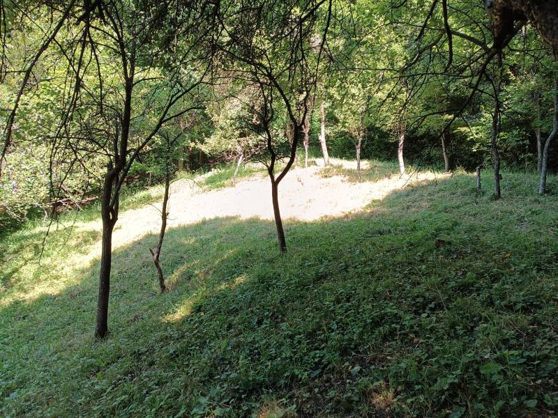 Na predaj  dom v obci Vyhne iba 400m od Vodného raja.  - Záhrada na ulici Vyhne, stromy a tráva blízko miesta pre rodinný dom.