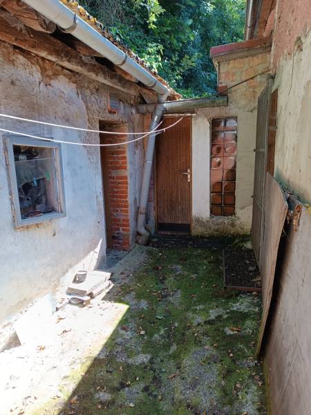 Na predaj  dom v obci Vyhne iba 400m od Vodného raja.  - Nádvorie staršieho rodinného domu na ulici Vyhne, so zeleným porastom na zemi.