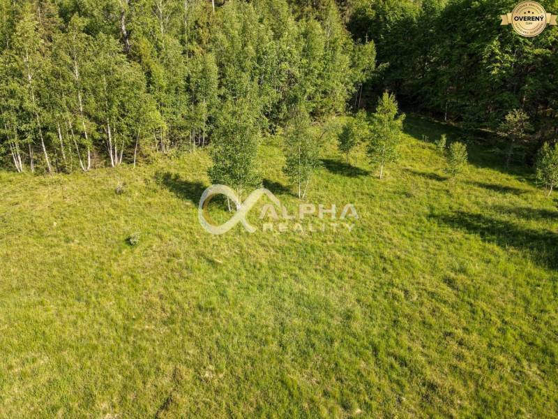 EXKLUZÍVNE stavebný pozemok, Nálepkovo časť Tretí Hámor, okres Gelnica - Trávnaté pozemky - bývanie obklopené stromami na ulici Tretí Hámor v Nálepkove.