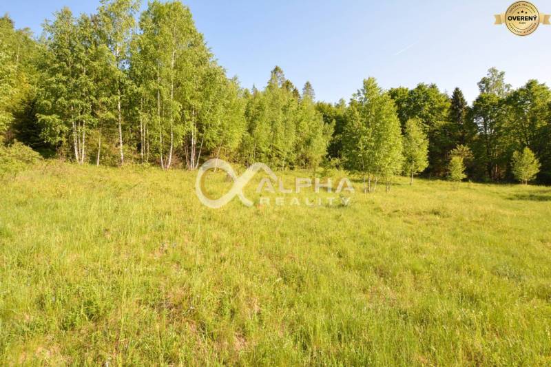 EXKLUZÍVNE stavebný pozemok, Nálepkovo časť Tretí Hámor, okres Gelnica - Trávnatý pozemok obklopený stromami na výstavbu bývania v Nálepkove, Tretí Hámor.