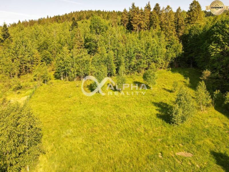 EXKLUZÍVNE stavebný pozemok, Nálepkovo časť Tretí Hámor, okres Gelnica - Zelené lesy a lúky na pozemkoch pre bývanie pri Nálepkove a Tretí Hámor.