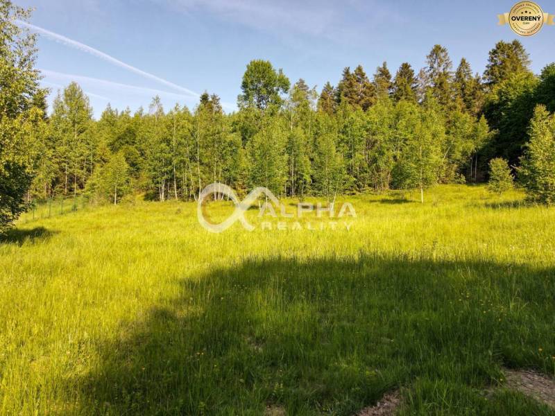 EXKLUZÍVNE stavebný pozemok, Nálepkovo časť Tretí Hámor, okres Gelnica - Zeleň a stromová línia na pozemkoch pre bývanie na ulici Tretí Hámor v Nálepkove.