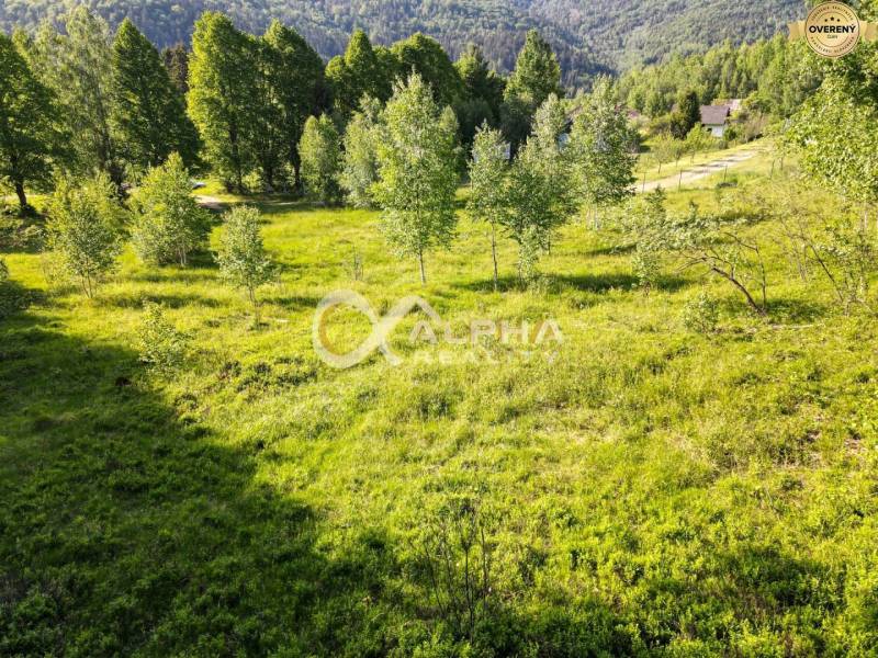 EXKLUZÍVNE stavebný pozemok, Nálepkovo časť Tretí Hámor, okres Gelnica - Pozemky - bývanie na Tretom Hámre v Nálepkove, zelená lúka obklopená stromami.