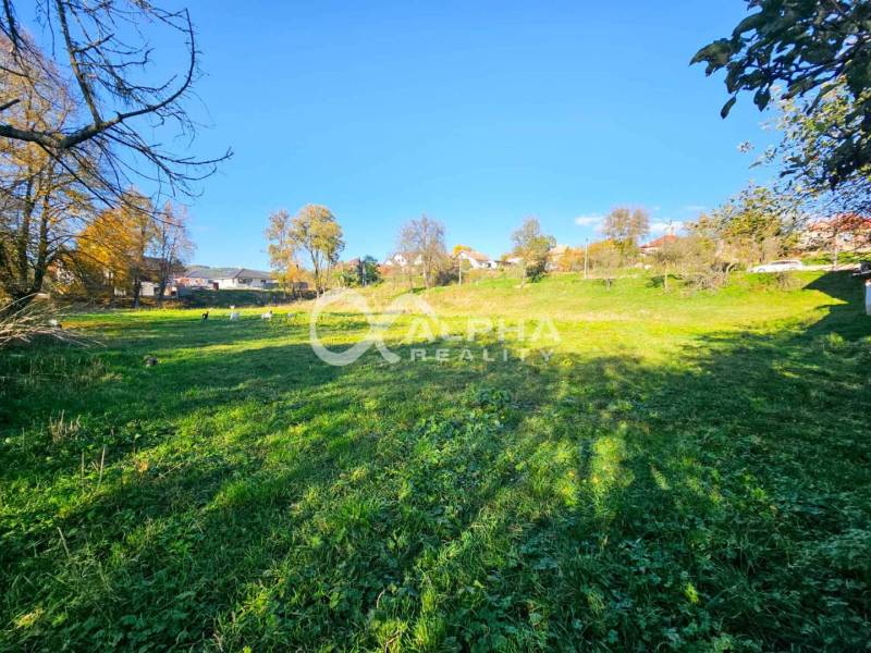 EXKLUZÍVNE stavebné pozemky, Spišské Podhradie - Zeleň a stromy na pozemku v Spišskom Podhradí vhodnom na bývanie.