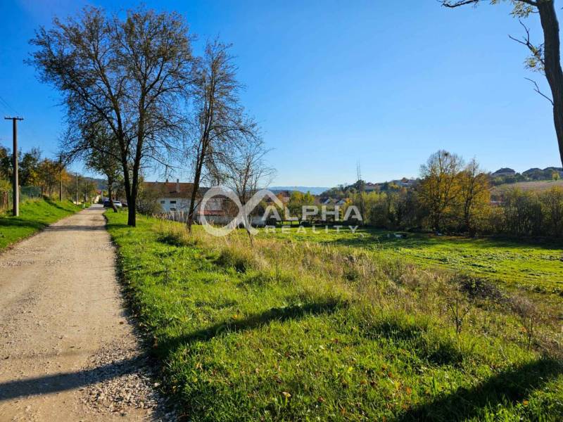 EXKLUZÍVNE stavebné pozemky, Spišské Podhradie - Vidiecky chodník a domy v pozadí obklopené prírodou v Spišskom Podhradí, Pozemky - bývanie.