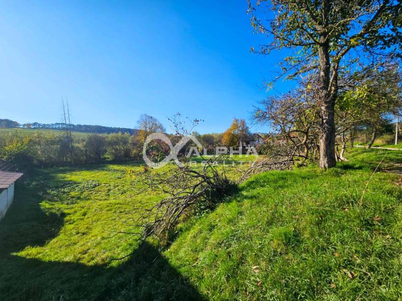 EXKLUZÍVNE stavebné pozemky, Spišské Podhradie - Zeleň a stromy vhodné pre pozemky na bývanie v Spišskom Podhradí.