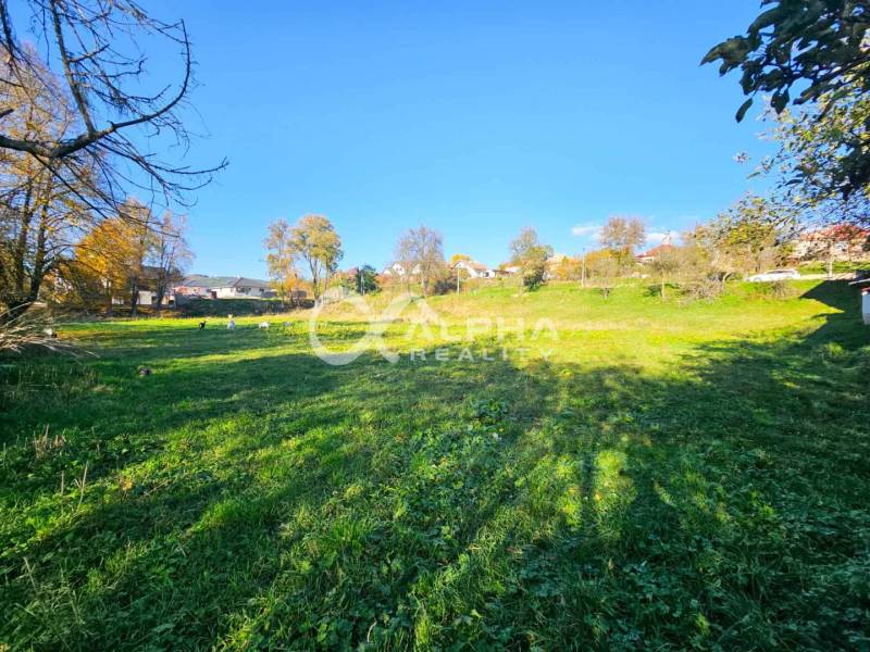 EXKLUZÍVNE stavebné pozemky, Spišské Podhradie - Rozľahlý zelený pozemok v Spišskom Podhradí určený na bývanie, obklopený stromami a domami.