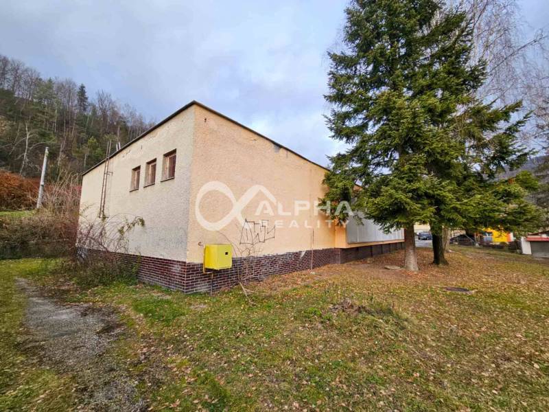 Budova s pozemkom, obec Helcmanovce, okres Gelnica - Budova v Helcmanovciach obklopená zeleňou, vedľa vysokého ihličnanu.