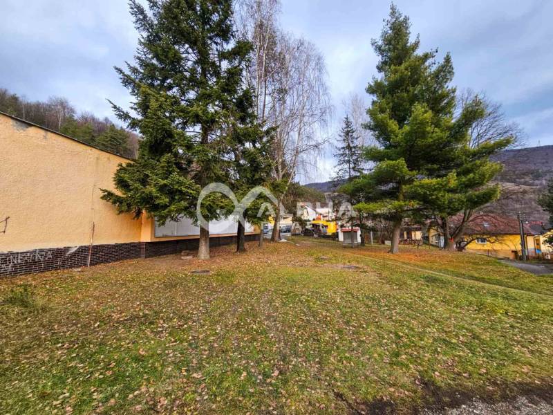 Budova s pozemkom, obec Helcmanovce, okres Gelnica - Stromy pri budove v Helcmanovciach s výhľadom na kopce a časť obce.