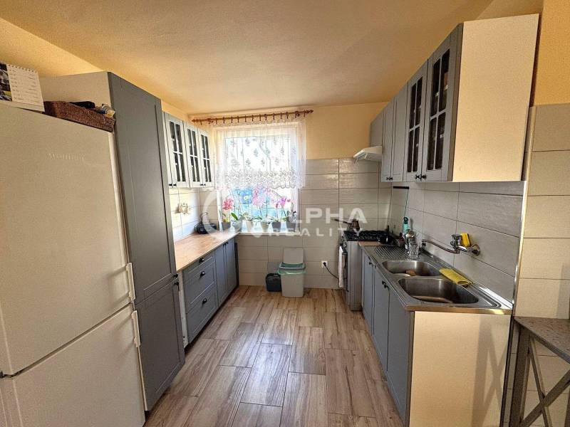 EXKLUZÍVNE Rodinný dom, širšie centrum, Spišská Nová Ves - Kuchyňa s šedými skrinkami, podlahou s dreveným dekorom a oknom s kvetmi v rodinnom dome.