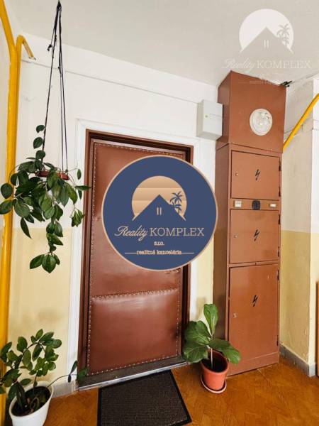 Vám ponúka exkluzívne na predaj moderný, komple - Vstup do 1-izbového bytu s hnedými dverami, kvetmi a elektrickou skriňou v chodbe.