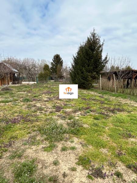 PREDAJ - Záhradka v Šali za klziskom   - Záhrady v Šali so stromami, kríkmi a trávnatou plochou pod zamračenou oblohou.