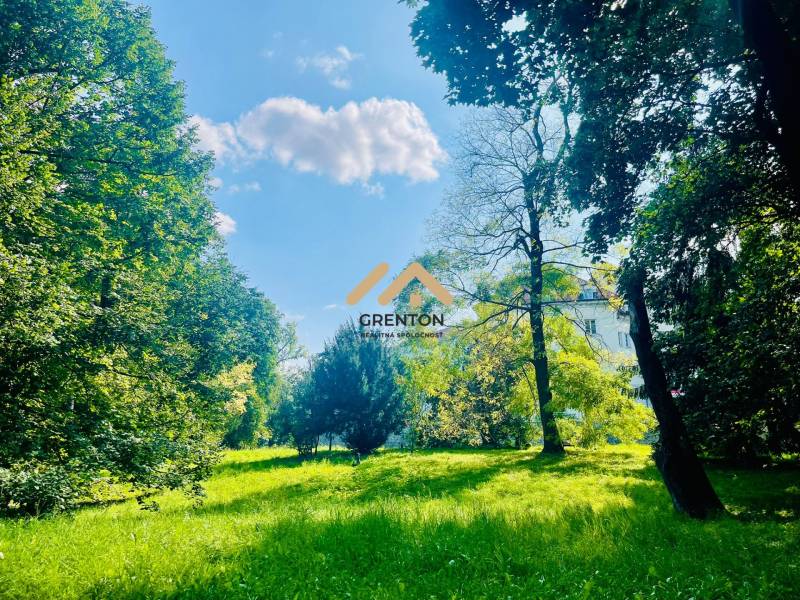 4 izbová celoročná chata v Kučišdorfskej doline na predaj - Zeleň a stromy v okolí chaty na Kučišdorskej doline v Pezinku.