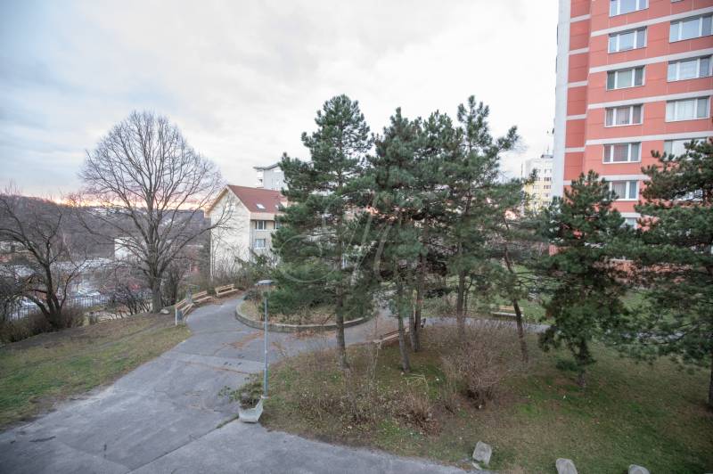 Slnečný 3-izbový byt, Kramáre - Pohľad na zeleň a chodníky vedľa bytovky na Ladislava Derera v Bratislave.