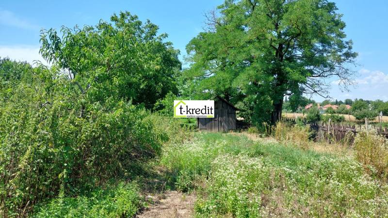 PREDAJ - ÚTULNÝ DOMČEK NA ROZĽAHLOM POZEMKU - NEVIDZANY - Záhrada s drevenou chatkou v Nevidzanoch, obkolesená bujnou vegetáciou a stromami.