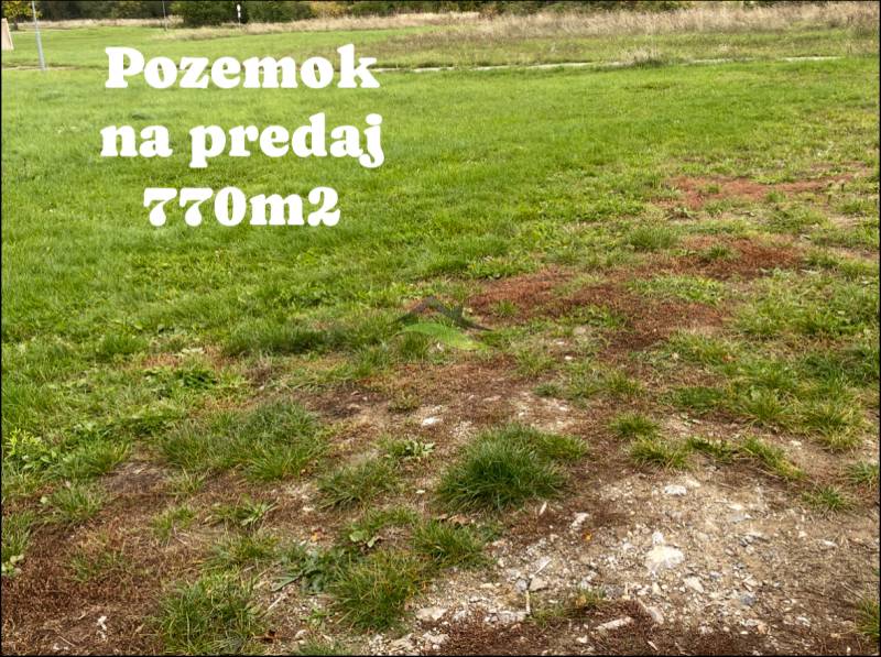Stavebný pozemok priamo v Michalovciach - všetky IS - 770 m2 - Trávnatý pozemok na predaj (770 m²) vhodný na bývanie v Michalovciach s viditeľnými hnedými škvrnami.