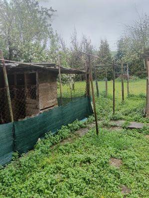 Na predaj rodinný dom Kosihovce - Záhrada s oploteným priestorom pri rodinnom dome v Kosihovciach na ulici Kosihovce.