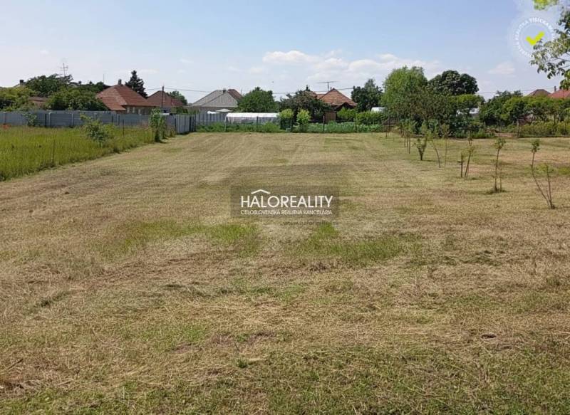 Predaj, záhradný pozemok   1652 m2 Marcelová - EXKLU... - Upravený trávnik v záhradách Marcelovej s pohľadom na okolité domy.