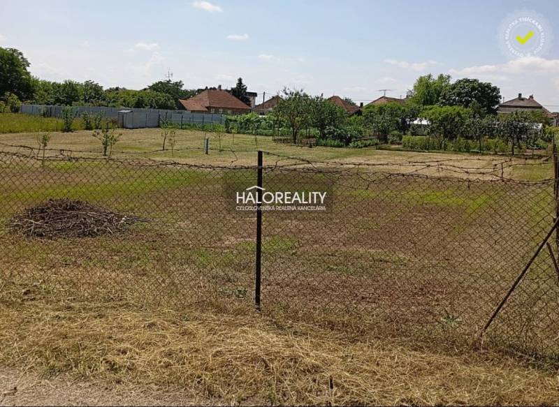 Predaj, záhradný pozemok   1652 m2 Marcelová - EXKLU... - Záhrady v Marcelovej s trávnatým povrchom a oplotením, stromčeky v pozadí.