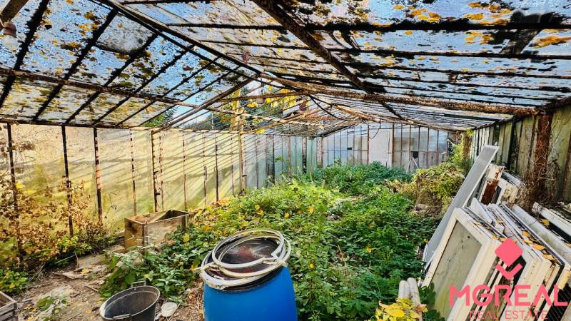 Na predaj 4-izbový rodinný dom v Brodzanoch – pozemok 1236 m² - Opustený skleník v areáli rodinného domu v Brodzanoch, zarastená vegetácia, staré konštrukcie.