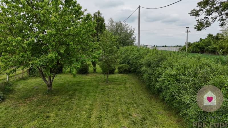 Veľký priestranný pozemok o rozlohe 7445 m2, Jelka  - Záhrada rodinného domu v Jelke na Slanej doline s udržiavaným trávnikom a stromami.