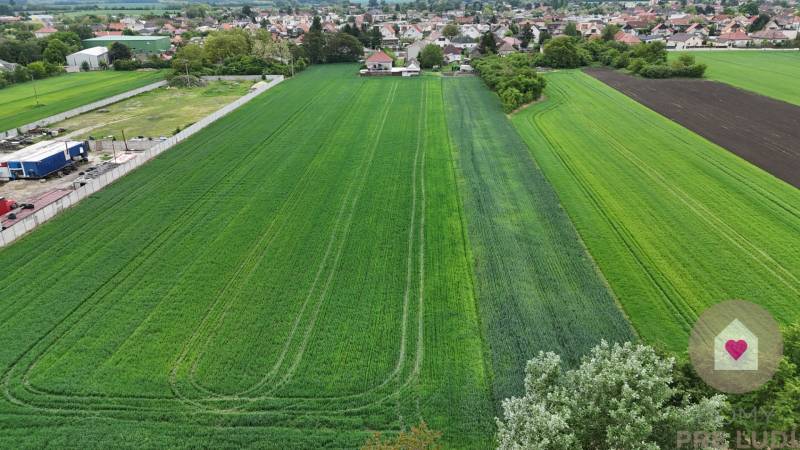 Veľký priestranný pozemok o rozlohe 7445 m2, Jelka  - Pole s obilím pri ulici Slaná dolina v meste Jelka, v pozadí Rodinné domy.