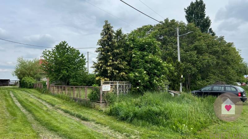 Veľký priestranný pozemok o rozlohe 7445 m2 s RD, Jelka  - Rodinný dom na Slanej doline v Jelke s bohatou zeleňou a prístupovou cestou.