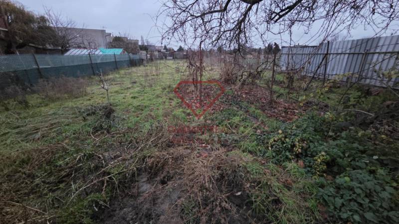 AKCIA - 2 Rodinné domy za cenu jedného obec Veľká Mača  - Záhrada v rodinnom dome na Hlavnej ulici vo Veľkej Mači, s oplotením a prírodou.