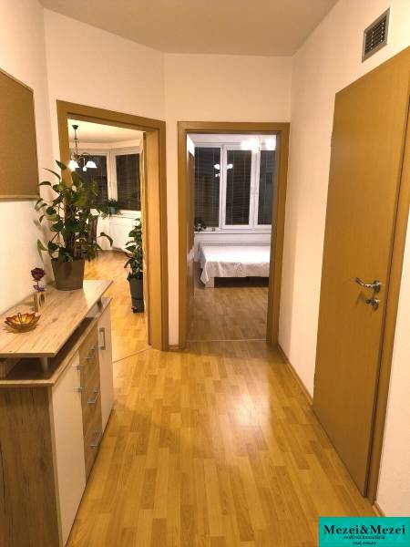 Na dlhodobý prenájom 2-izbový byt - kompletne zariadený, klimatizovaný - Chodba v 2-izbovom byte s podlahou s dreveným dekorom a rastlinami.