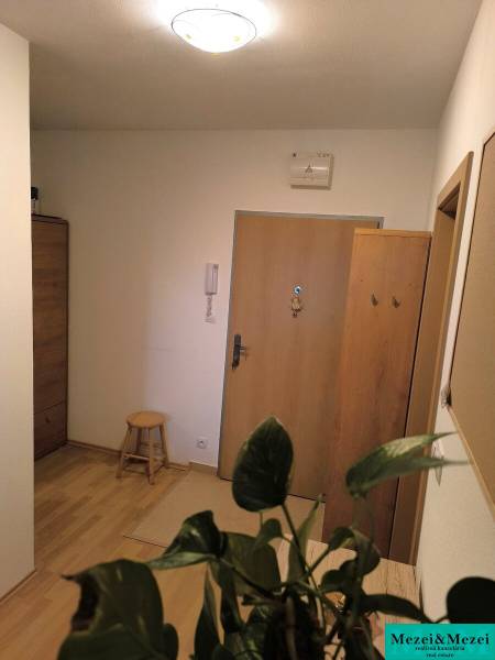 Na dlhodobý prenájom 2-izbový byt - kompletne zariadený, klimatizovaný - Chodba v 2-izbovom byte s podlahou s dreveným dekorom a zelenou rastlinou.