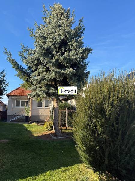 PREDAJ - RODINNÝ DOM - MACHULINCE - Rodinný dom v Machulinciach so záhradou a košatým ihličnatým stromom pred domom.